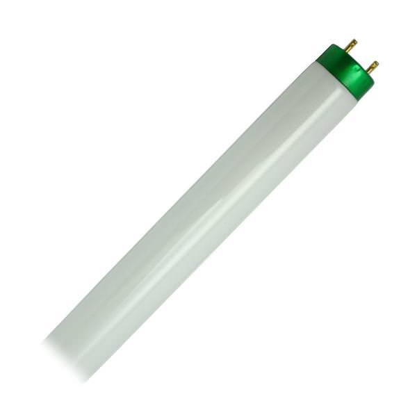 32 watt - 48 In. - T8 - Medium Bi-Pin (G13) Base - 5,000K - Daylight - ALTO II  | Philips Fluorescent Light Bulb (Philips F32T8/TL950/ALTO 79634)